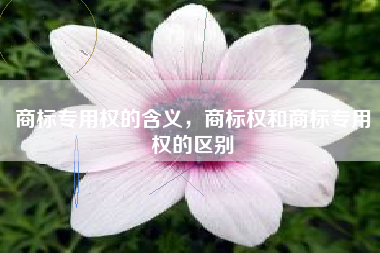 商标专用权的含义，商标权和商标专用权的区别