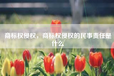 商标权侵权，商标权侵权的民事责任是什么