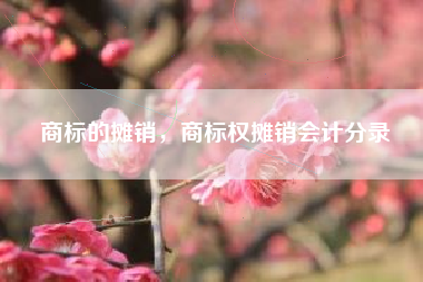 商标的摊销，商标权摊销会计分录
