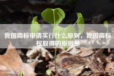我国商标申请实行什么原则，我国商标权取得的原则是