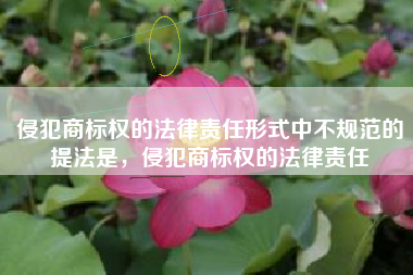 侵犯商标权的法律责任形式中不规范的提法是，侵犯商标权的法律责任