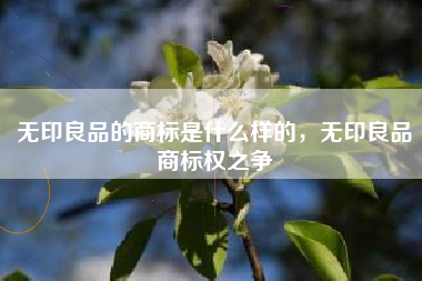 无印良品的商标是什么样的，无印良品商标权之争