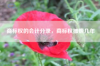 商标权的会计分录，商标权摊销几年