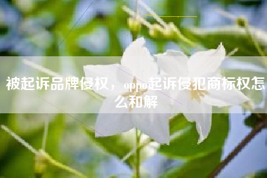 被起诉品牌侵权，oppo起诉侵犯商标权怎么和解