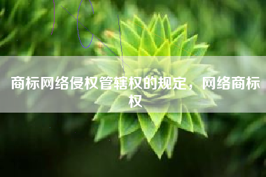 商标网络侵权管辖权的规定，网络商标权