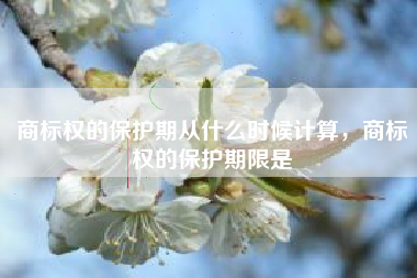 商标权的保护期从什么时候计算，商标权的保护期限是
