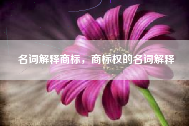 名词解释商标，商标权的名词解释