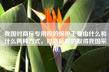 我国对商标专用权的保护主要由什么和什么两种方式，对商标权的取得我国采用