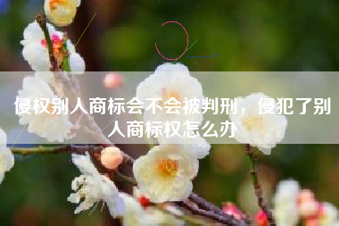 侵权别人商标会不会被判刑，侵犯了别人商标权怎么办