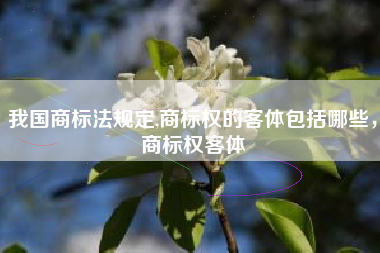我国商标法规定,商标权的客体包括哪些，商标权客体