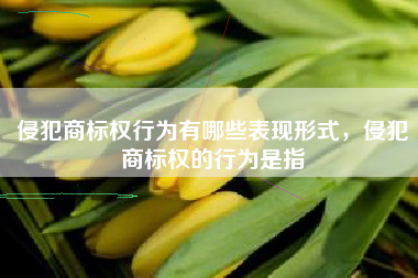 侵犯商标权行为有哪些表现形式，侵犯商标权的行为是指