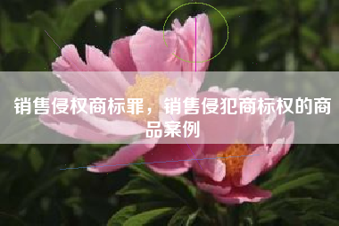 销售侵权商标罪，销售侵犯商标权的商品案例