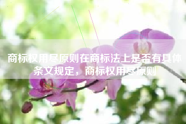 商标权用尽原则在商标法上是否有具体条文规定，商标权用尽原则