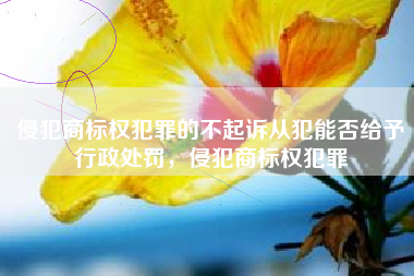 侵犯商标权犯罪的不起诉从犯能否给予行政处罚，侵犯商标权犯罪