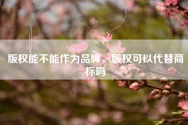 版权能不能作为品牌，版权可以代替商标吗