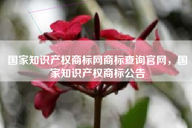 国家知识产权商标网商标查询官网，国家知识产权商标公告