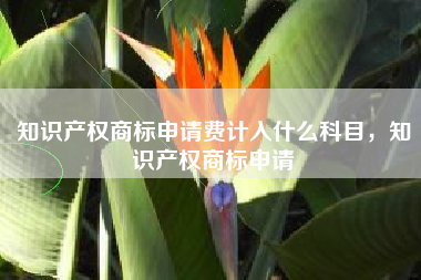 知识产权商标申请费计入什么科目，知识产权商标申请