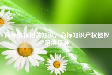 商标侵权相关知识，商标知识产权侵权赔偿标准