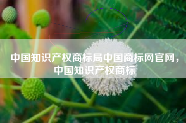 中国知识产权商标局中国商标网官网，中国知识产权商标