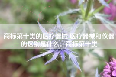 商标第十类的医疗器械 医疗器械和仪器的区别是什么，商标第十类