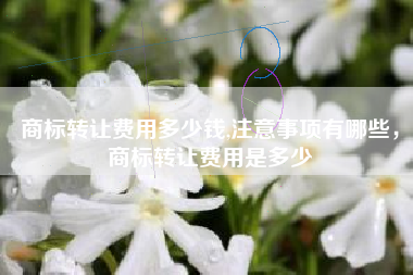 商标转让费用多少钱,注意事项有哪些，商标转让费用是多少