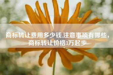 商标转让费用多少钱,注意事项有哪些，商标转让价格3万起步