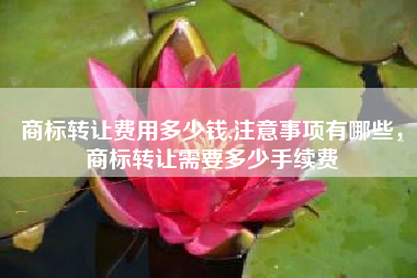 商标转让费用多少钱,注意事项有哪些，商标转让需要多少手续费