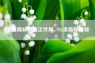 31类商标的真正作用，31类商标明细