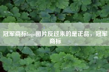 冠军商标logo图片反过来的是正品，冠军商标