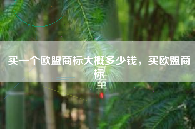 买一个欧盟商标大概多少钱，买欧盟商标