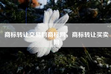 商标转让交易网商标网，商标转让买卖网