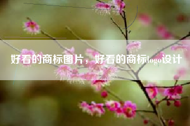 好看的商标图片，好看的商标logo设计