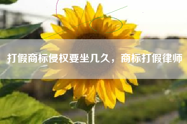 打假商标侵权要坐几久，商标打假律师