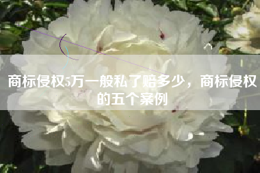 商标侵权5万一般私了赔多少，商标侵权的五个案例