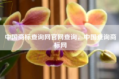 中国商标查询网官网查询，中国查询商标网
