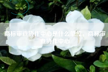 商标审查协作中心是什么单位，商标审查协作中心