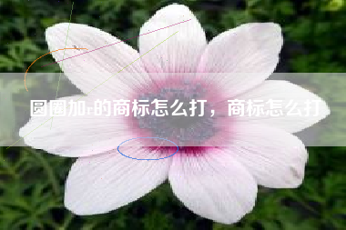 圆圈加r的商标怎么打，商标怎么打