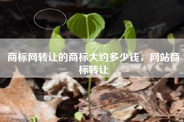 商标网转让的商标大约多少钱，网站商标转让