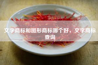 文字商标和图形商标哪个好，文字商标查询