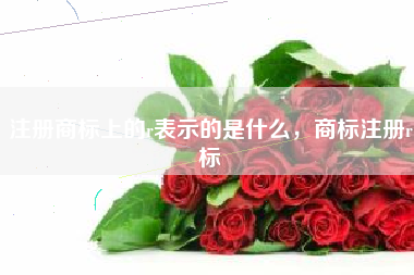 注册商标上的r表示的是什么，商标注册r标