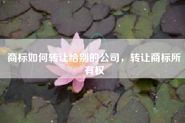 商标如何转让给别的公司，转让商标所有权
