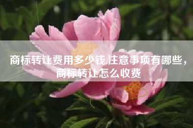 商标转让费用多少钱,注意事项有哪些，商标转让怎么收费