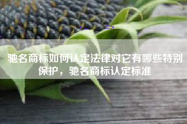 驰名商标如何认定法律对它有哪些特别保护，驰名商标认定标准