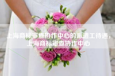 上海商标审查协作中心的派遣工待遇，上海商标审查协作中心