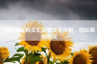 国际商标购买汇款要交多少税，国际商标购买