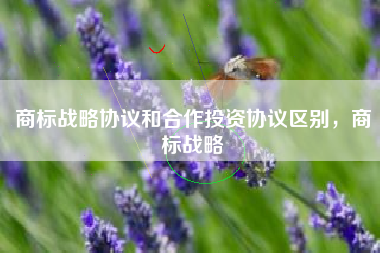 商标战略协议和合作投资协议区别，商标战略