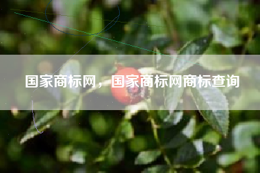 国家商标网，国家商标网商标查询