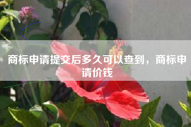 商标申请提交后多久可以查到，商标申请价钱