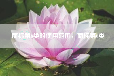 商标第6类的使用范围，商标第6类