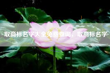 取商标名字大全免费查询，取商标名字